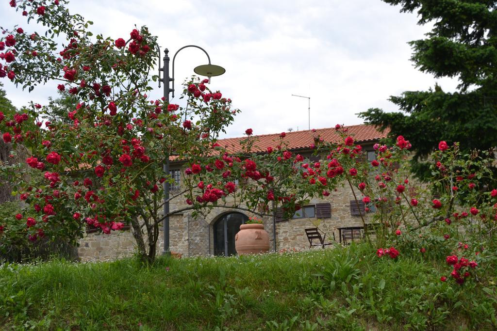 Вилла Fattoria Il Praticino Castelfranco di Sopra Экстерьер фото