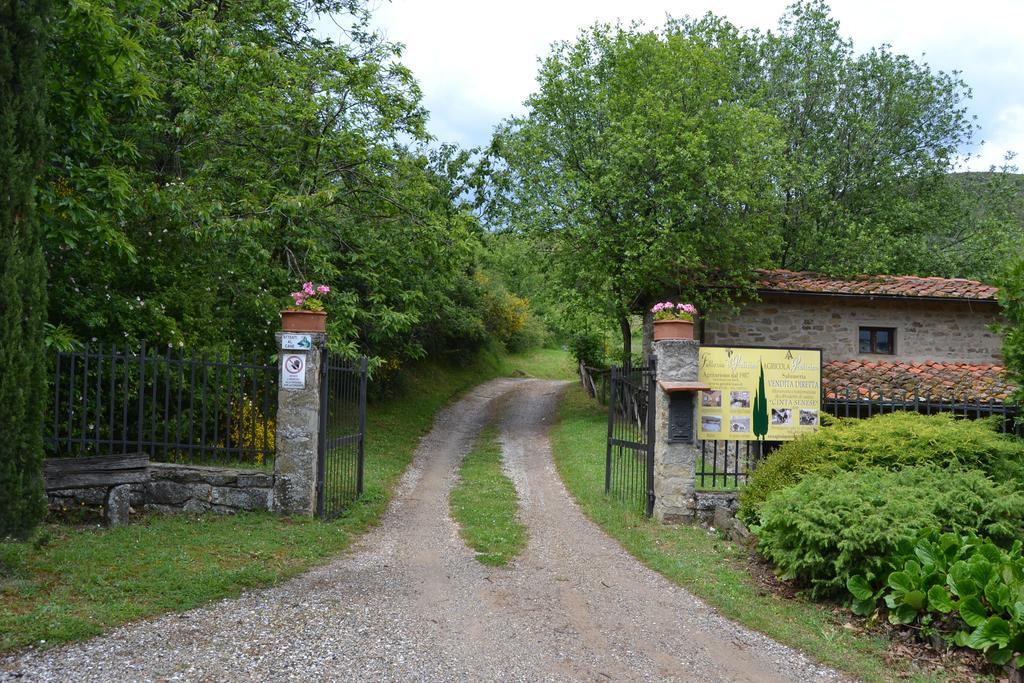 Вилла Fattoria Il Praticino Castelfranco di Sopra Экстерьер фото