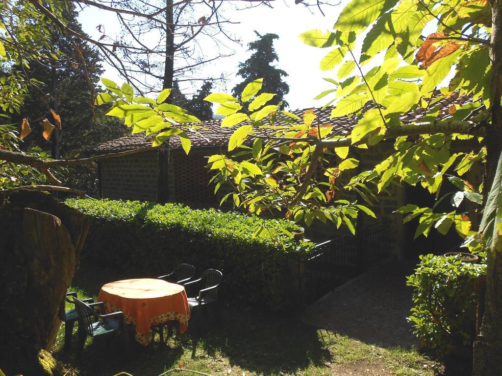 Вилла Fattoria Il Praticino Castelfranco di Sopra Экстерьер фото